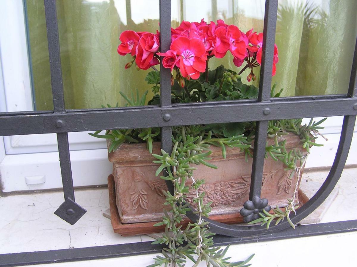 Apartman Pelcic,With Wifi And Free Parking Kostrena Exterior photo